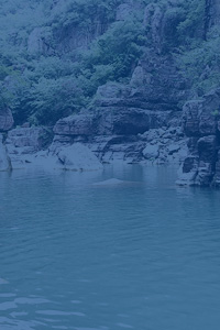 內(nèi)頁(yè)banner